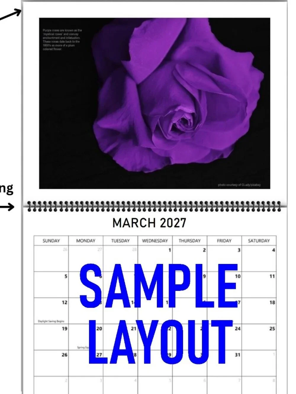 2027 Rose Calendar Beautiful Flower Photography Floral Garden Wall Calendar Gift